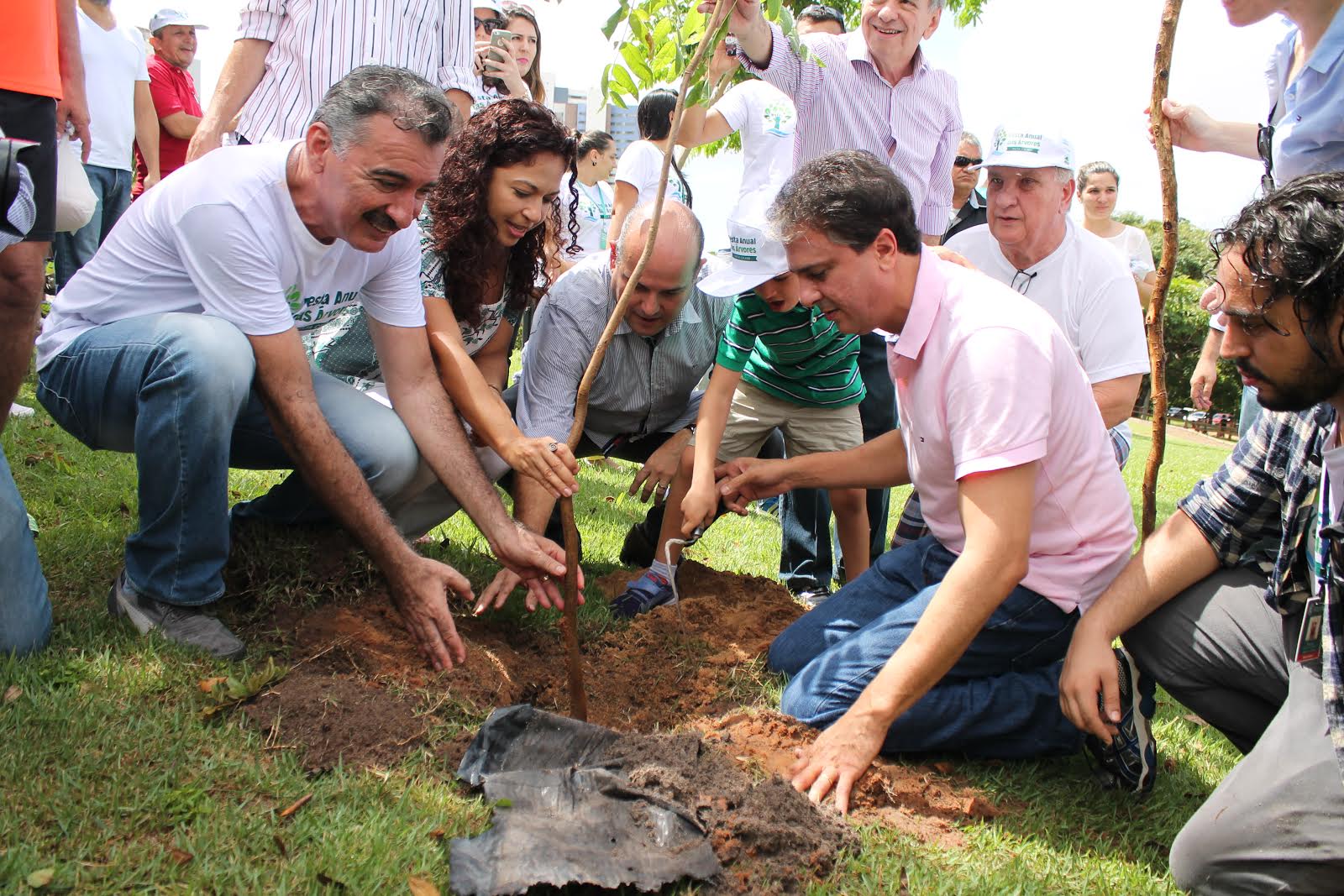 SEMA quer chegar à produção de 80 mil mudas em 2016