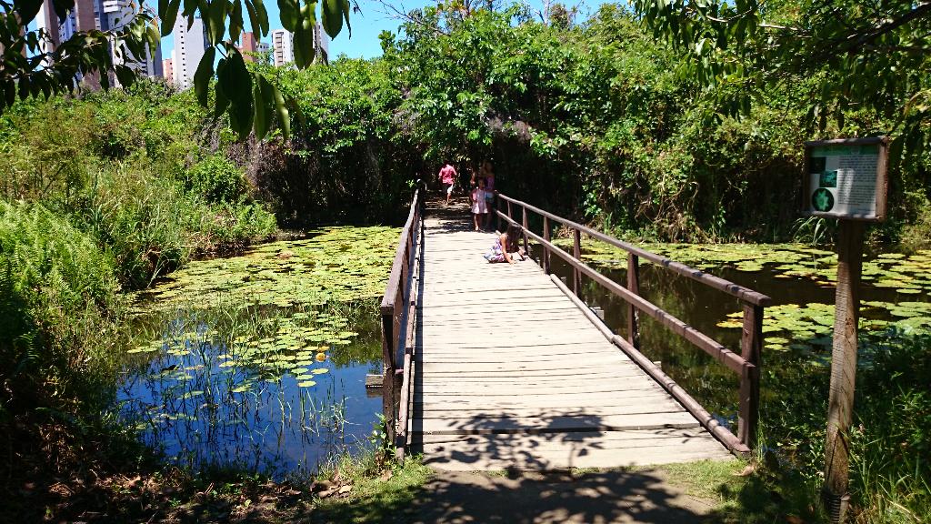 #CarnavalCE: Parque do Cocó ganha nova iluminação, calçadão tátil e parque infantil