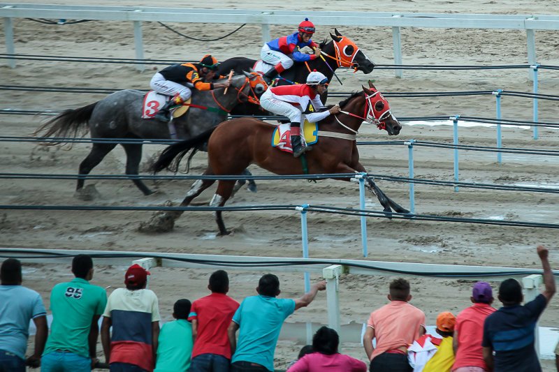 Jockey Clube - Velocidade e adrenalina dão a tônica do 8º GP Fortaleza Quarter Horse Show