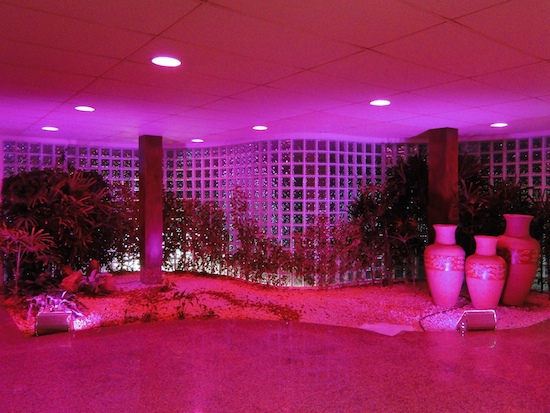 ICC dá o pontapé inicial na campanha Outubro Rosa