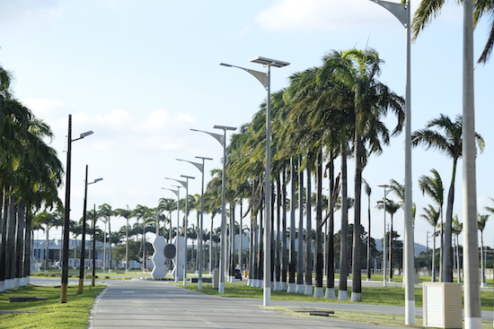 NEC do Grupo M. Dias Branco adota sustentabilidade