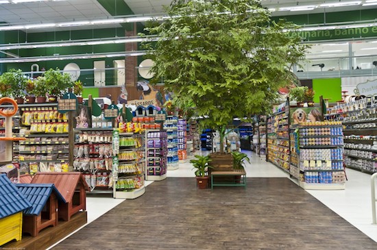 Com investimento milionário, Cobasi abre megaloja no Iguatemi Fortaleza