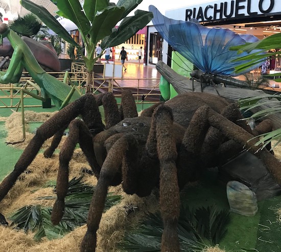 Shopping Iguatemi recebe exposição de insetos gigantes. Vem saber!