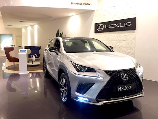 Newland Lexus marca presença na 12ª edição do MaxiModa