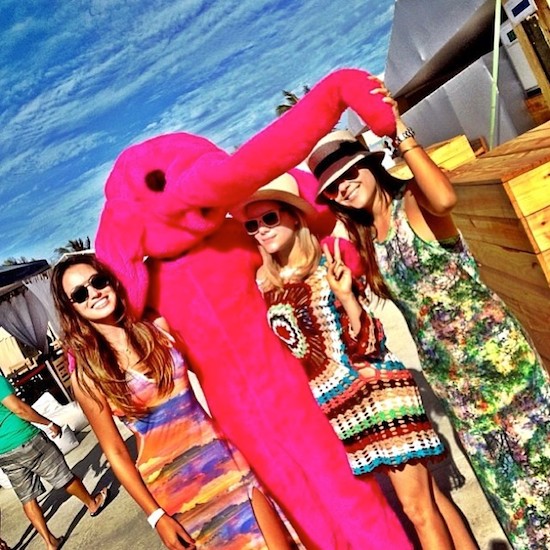 The Elephant is coming