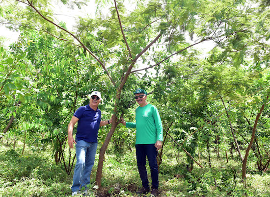 C. Rolim Engenharia celebra o plantio de 21 mil árvores no Parque do Cocó