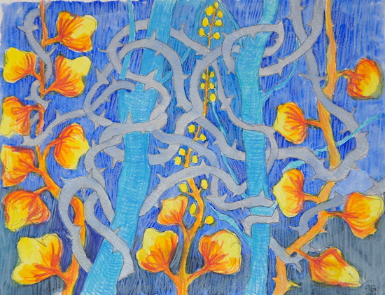 Conheça o semiárido nordestino em uma experiência diferente por meio da exposição Mato Branco