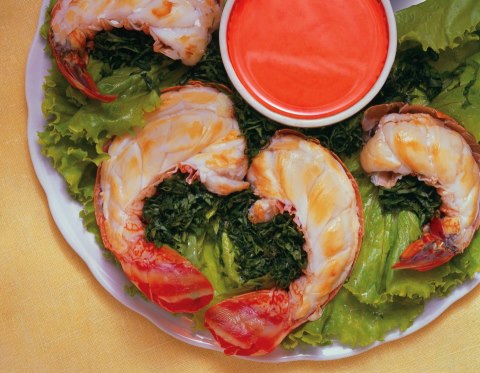 Começa amanhã o Festival da Lagosta