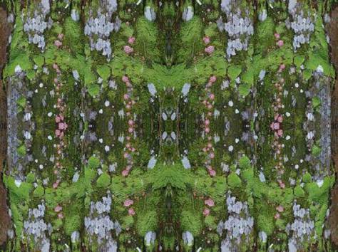 Artista plástica Cristina Schleder inaugura Calendário Cultural de 2017 da Embaixada do Brasil em Londres