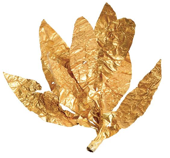 Dica para o weekend: Exposição Esporte Movimento na Caixa Cultural