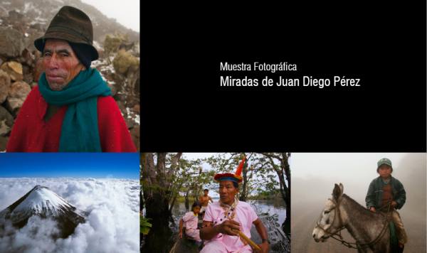 Lançamento da exposição “Miradas”, hoje