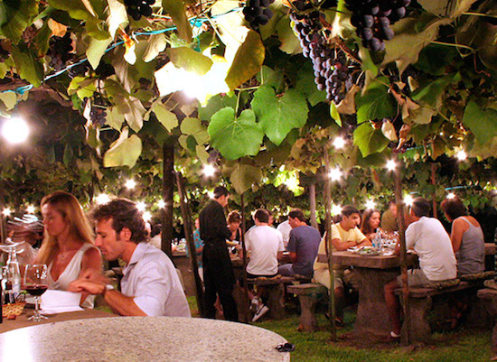 Confira a programação especial da Casa Valduga para a temporada da vindima