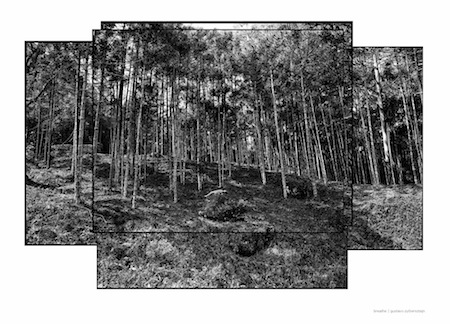 Gustavo Zylbersztajn foi premiado na Biennale d’Arte