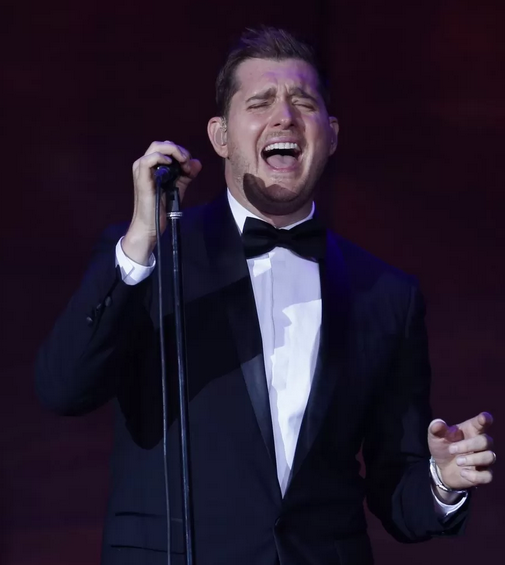 Show de Michael Bublé reúne famosos no Rio de Janeiro