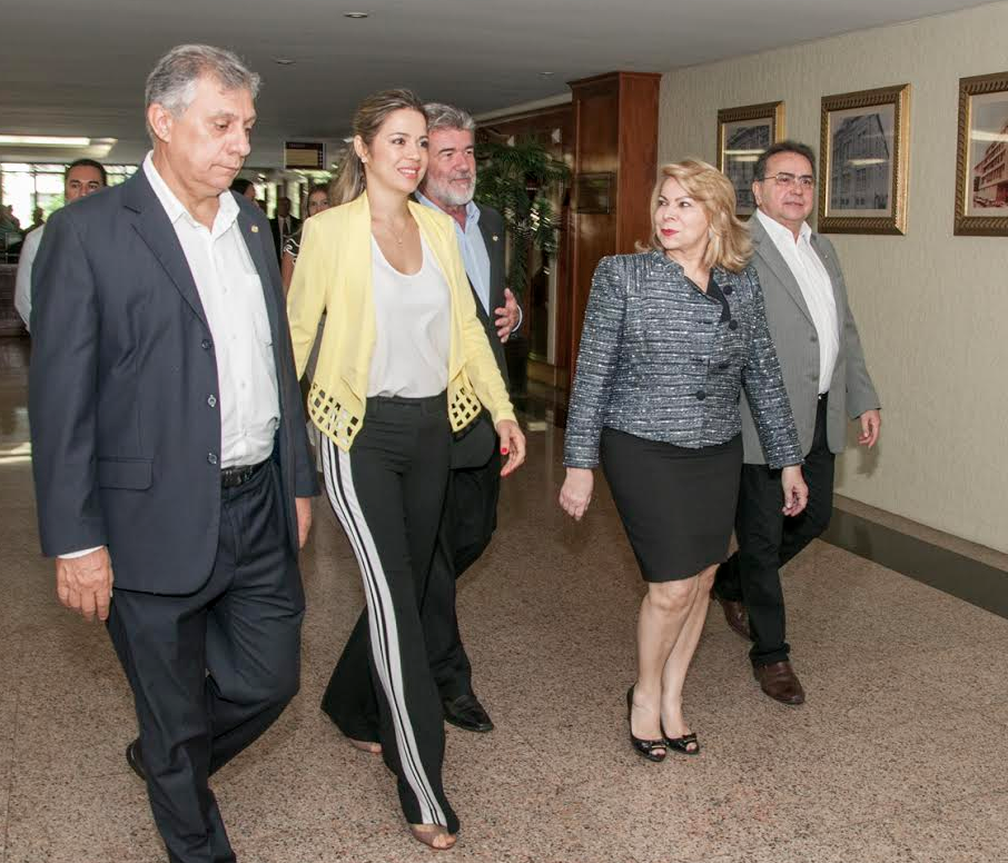 Onélia Leite e Iracema do Vale se reúnem com a bancada federal