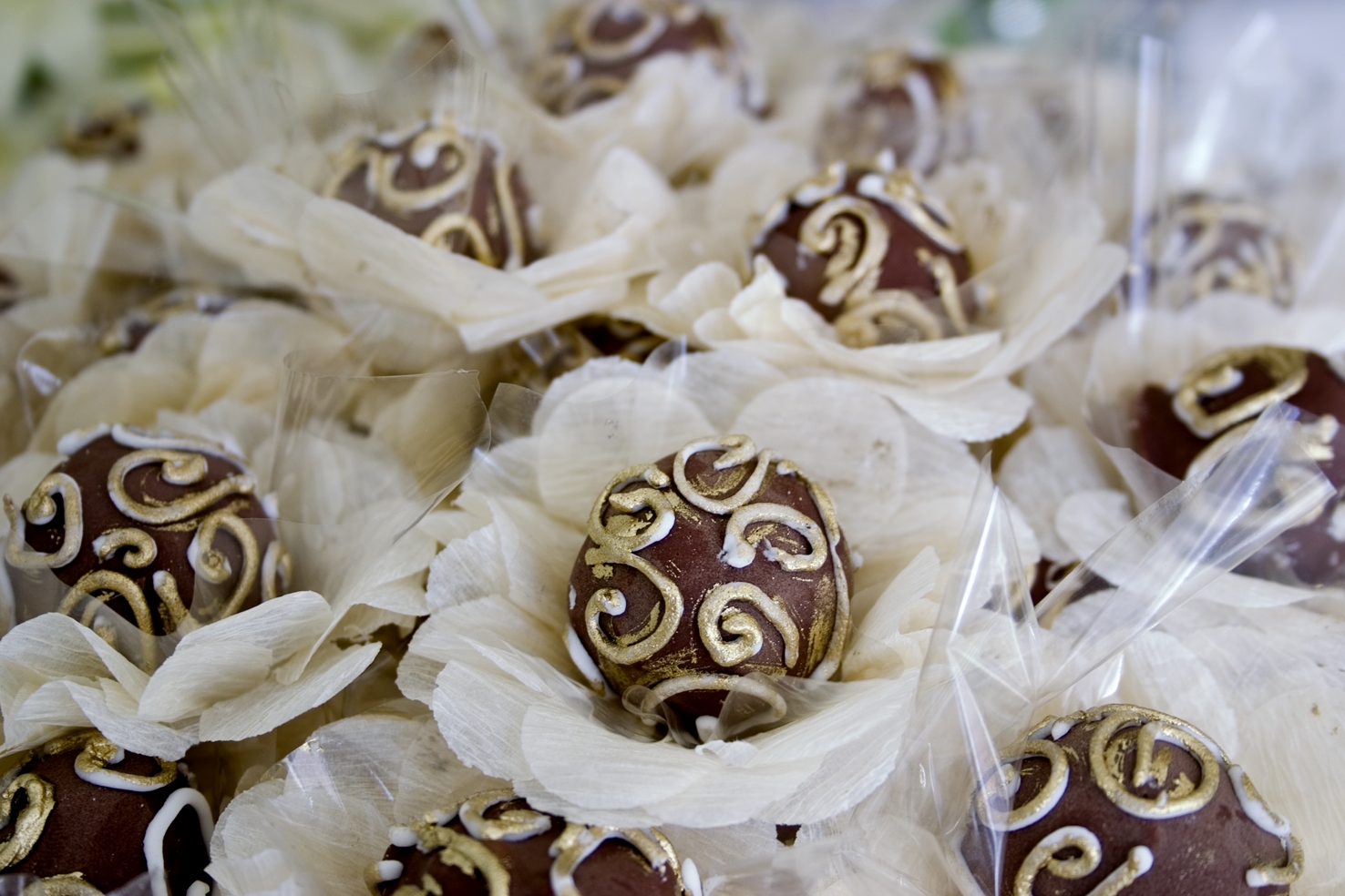 Um mês de degustação na Toca Fina Cozinha