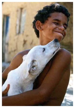 Postais do Ceará em cartaz