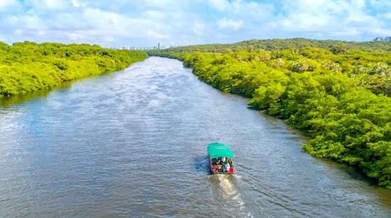 Que tal embarcar em um passeio pelo Rio Cocó e conhecer de perto suas riquezas?