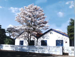 Neste fim de semana tem projeto “Domingo com Arte” em São Paulo