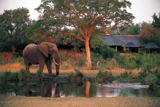 Sabi Sabi oferece casamento luxuoso na África do Sul