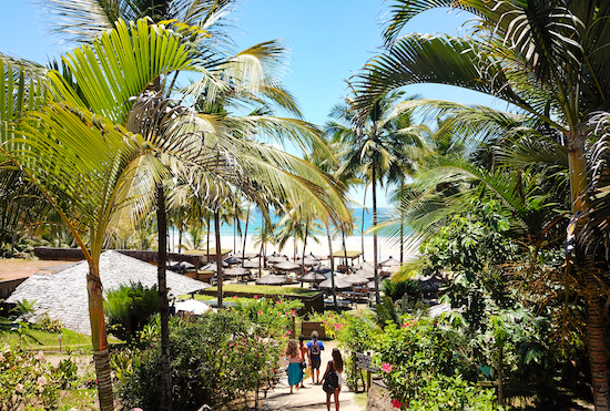 Réveillon Nº1 promete movimentar o litoral da Bahia. Confira as atrações!