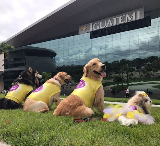 Iguatemi Fortaleza recebe feira voltada ao mercado pet durante o fim de semana