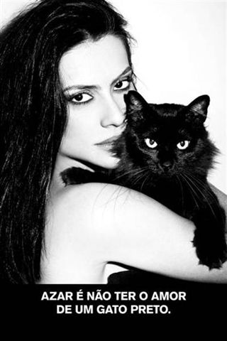 Fnac lança calendário Ampara Animal