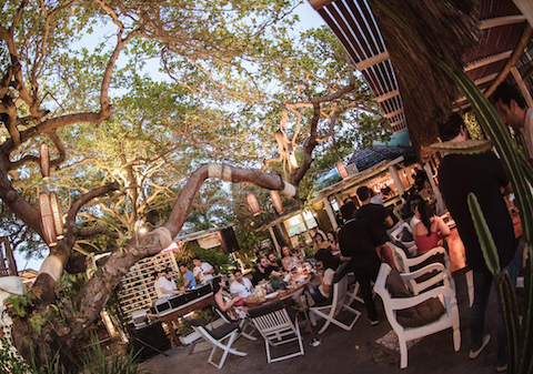 Colosso Fortaleza suspende todas as suas atividades até domingo