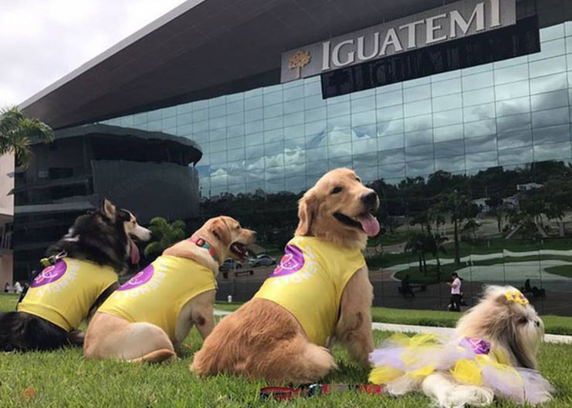 Shopping Iguatemi Fortaleza se firma como ótima opção de lazer para os Pets. Vem saber!