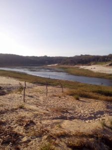 12191435 1211832002164025 37554613881719812 N