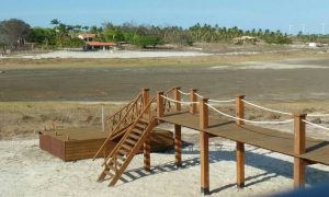 59710125 3157801207567085 6777554209513406464 O