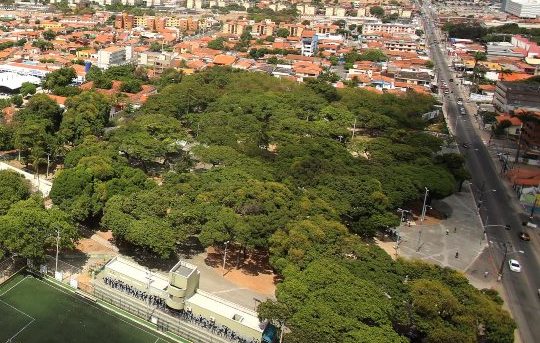 Prefeitura de Fortaleza anuncia revitalização de lagoas e parques Prefeitura de Fortaleza anuncia revitalização de lagoas e parques
