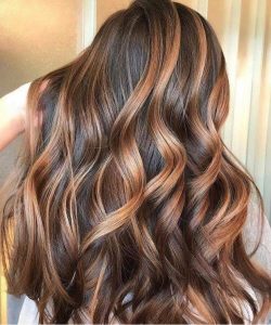 Whatsapp Image 2020 01 13 At 17.39.43