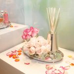 Anna Carolina Bassi + St. James