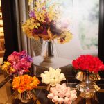 Anna Carolina Bassi + St. James (3)