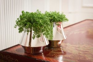 Em Parceria Com Anna Carolina Bassi St. James Lança Coleção Femme. Foto Marcelo Trad.vasos Scaled