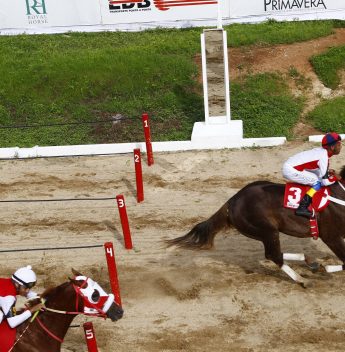 Haras Primavera 