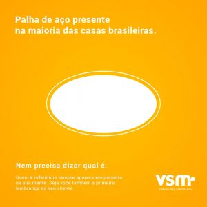 Campanha Vsm 2