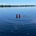 Whatsapp Image 2020 07 26 At 22.42.02 (1)