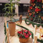 Whatsapp Image 2020 11 09 At 14.21.52