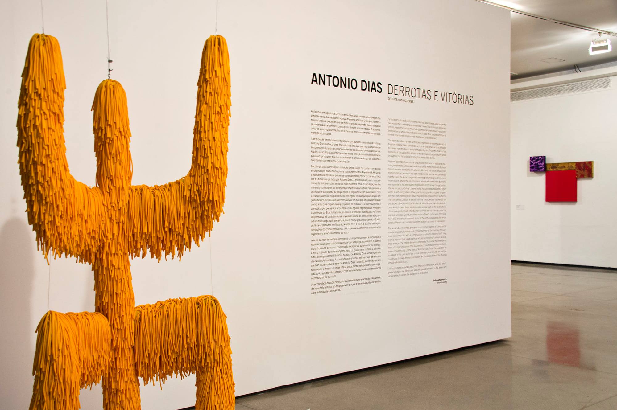 Museu de Arte Moderna de São Paulo expõe mostra retrospectiva de Antonio Dias