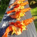 Whatsapp Image 2021 02 24 At 18.41.34 (1)