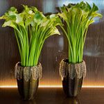 Whatsapp Image 2021 02 25 At 17.49.11 (1)