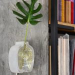 Whatsapp Image 2021 02 25 At 17.49.30