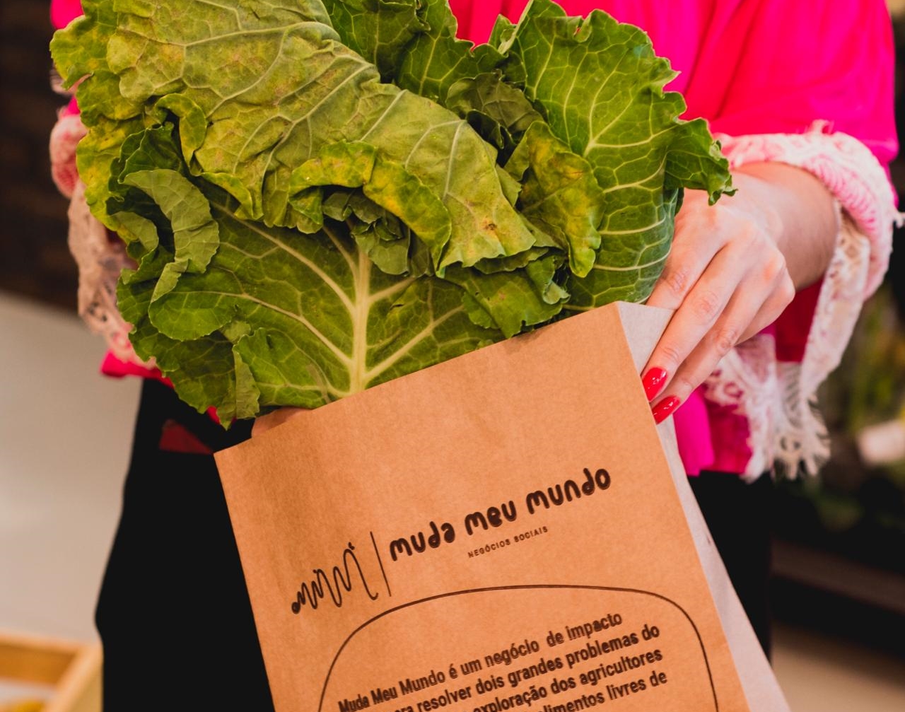 Iniciativa dos Mercadinhos São Luiz e Muda Meu Mundo contribui para aumento na renda de agricultores familiares