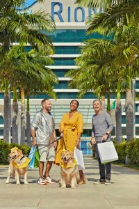 1e60132a 5a1f 4607 8065 8e6ab72ca413