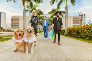 297039a3 4363 4a8e 9b7e 46a8051f4e3f