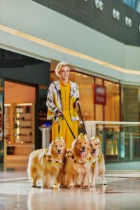 86ba5330 863a 4d30 A9cd 9b0ffa103ab5