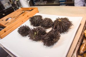 Restaurante Villa Zulu (12)