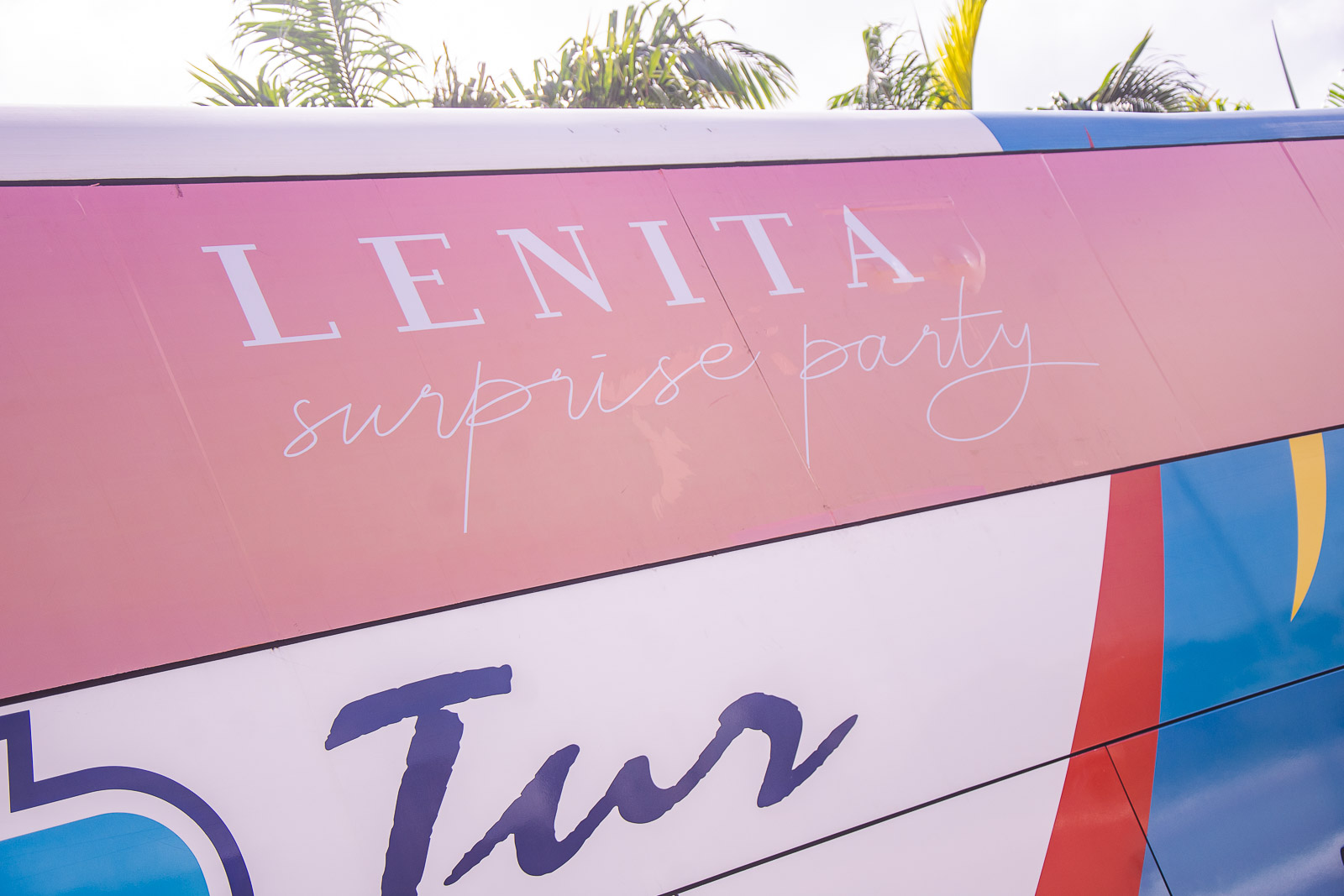 Lenita Surprise Party (4)